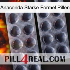 Anaconda Strong Formula Pills 31